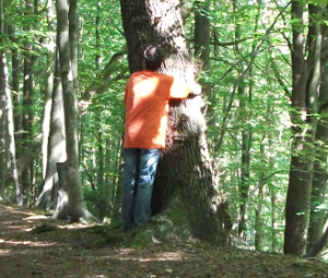 tree_hugger1